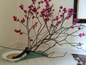 田中邸玄関の梅